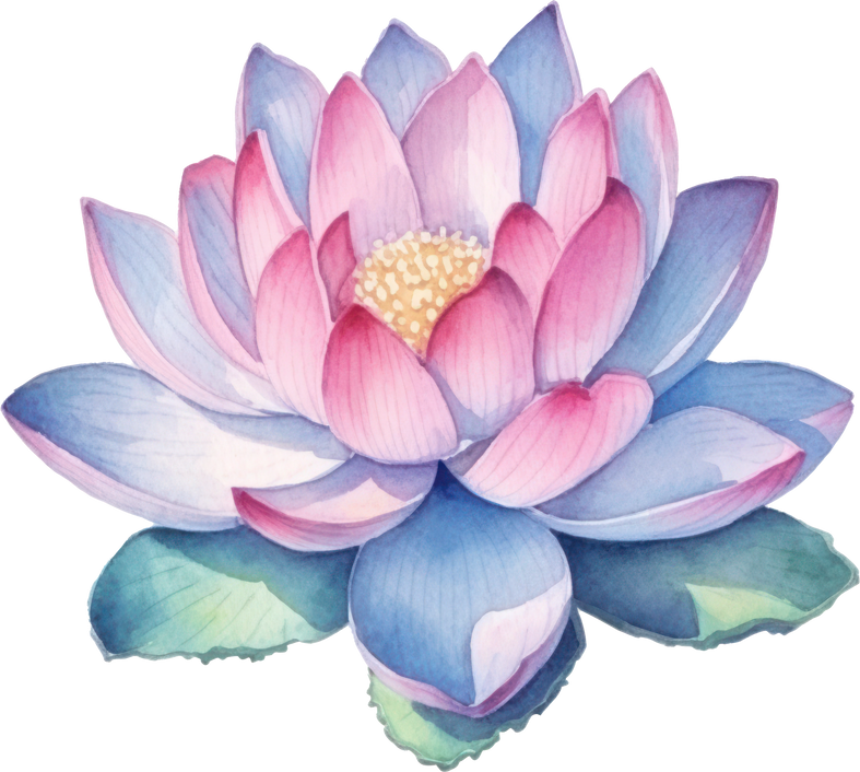 Lotus Flower Watercolor Illustration