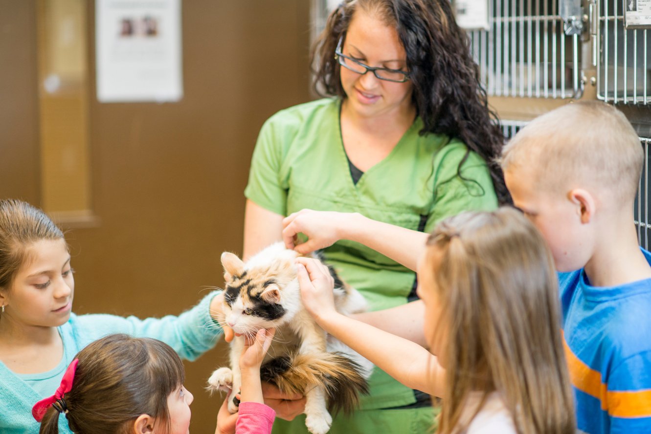 Kids Petting a Cat at an Animal Shelter